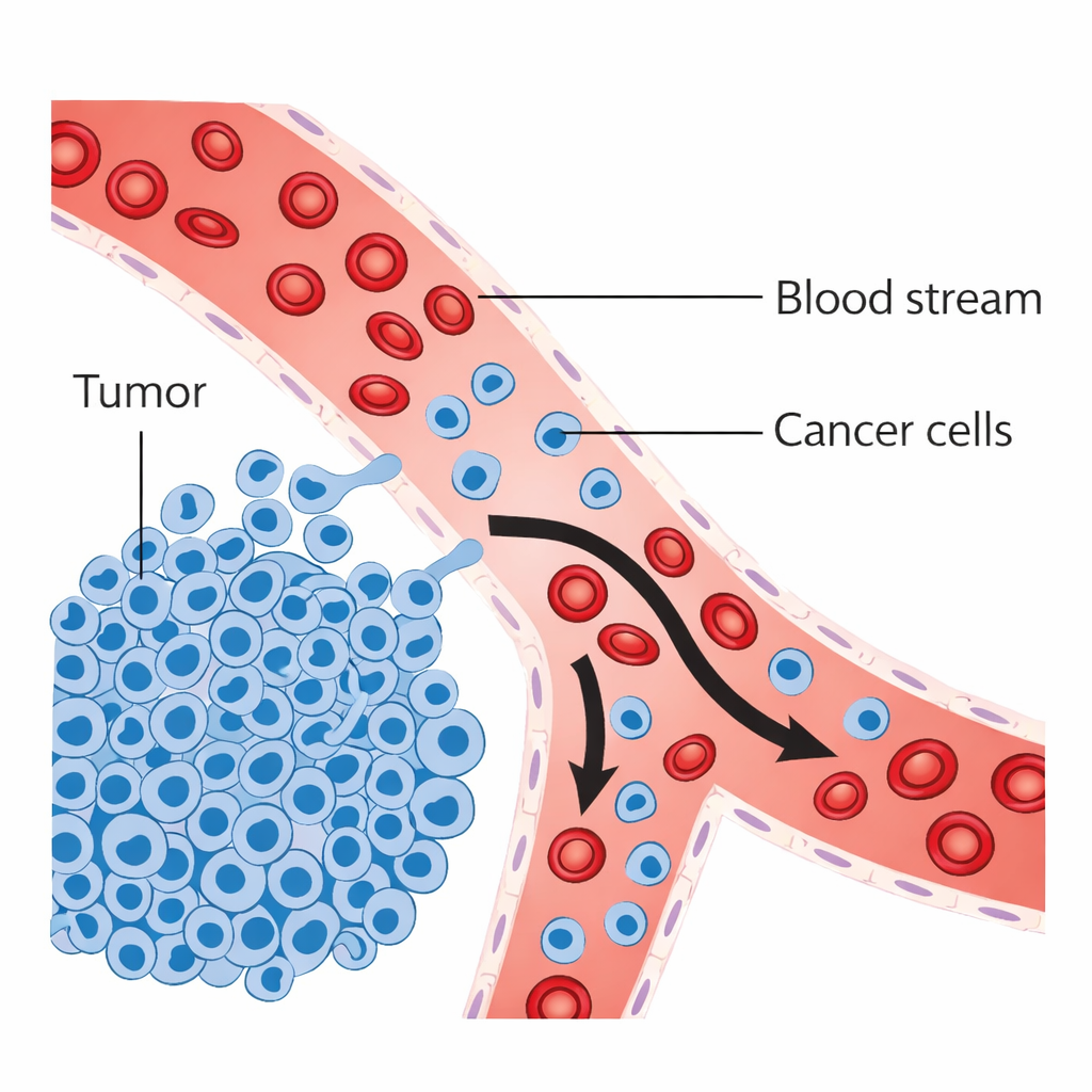 Cancer Explained: Types, Causes, Symptoms, Treatment & Prevention (Ultimate Guide)