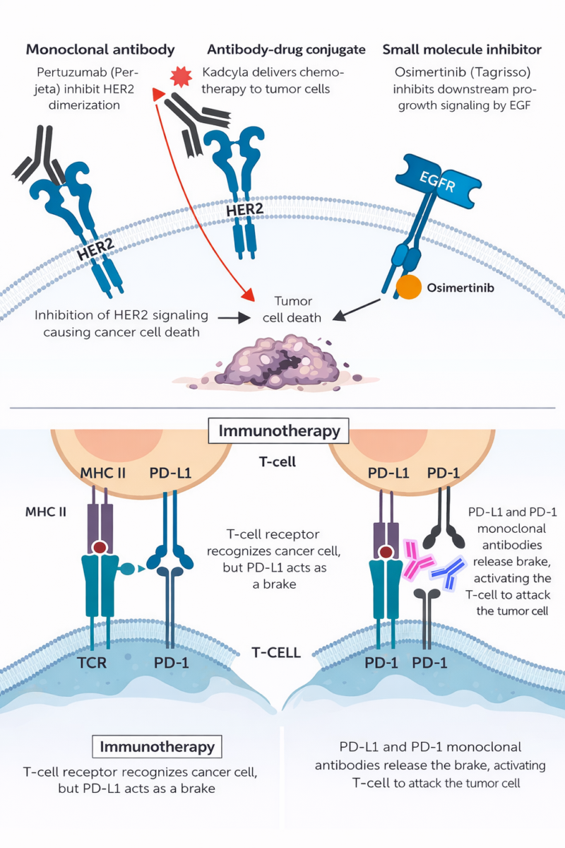 Cancer Treatment Explained: Surgery, Chemotherapy, Radiation & New Therapies