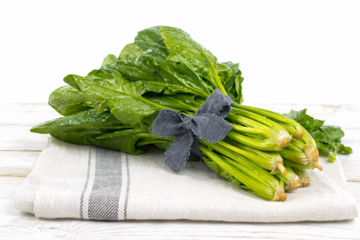 Best Anti-Cancer Diet: Foods That May Help Prevent Cancer